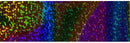 Galaxy Multi Ripples